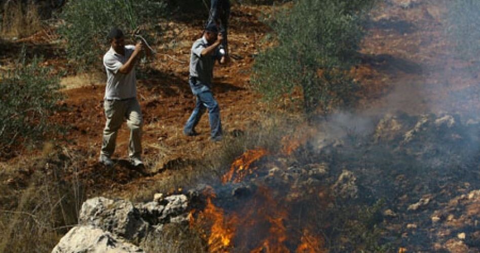 مستوطنون يضرمون النار بأراضي جنوب نابلس