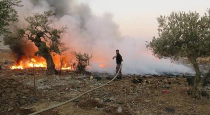مستوطنون يحرقون عشرات أشجار الزيتون في بورين جنوب نابلس