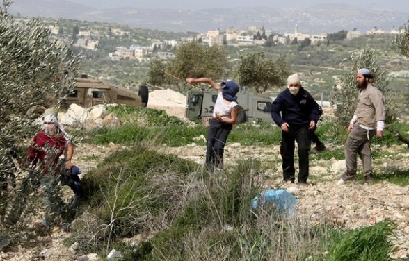 مستوطنون يهاجمون بلدتي حارس ودير استيا في سلفيت