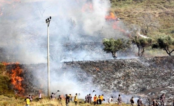 مستوطنون يحرقون عشرات الدونمات في نابلس
