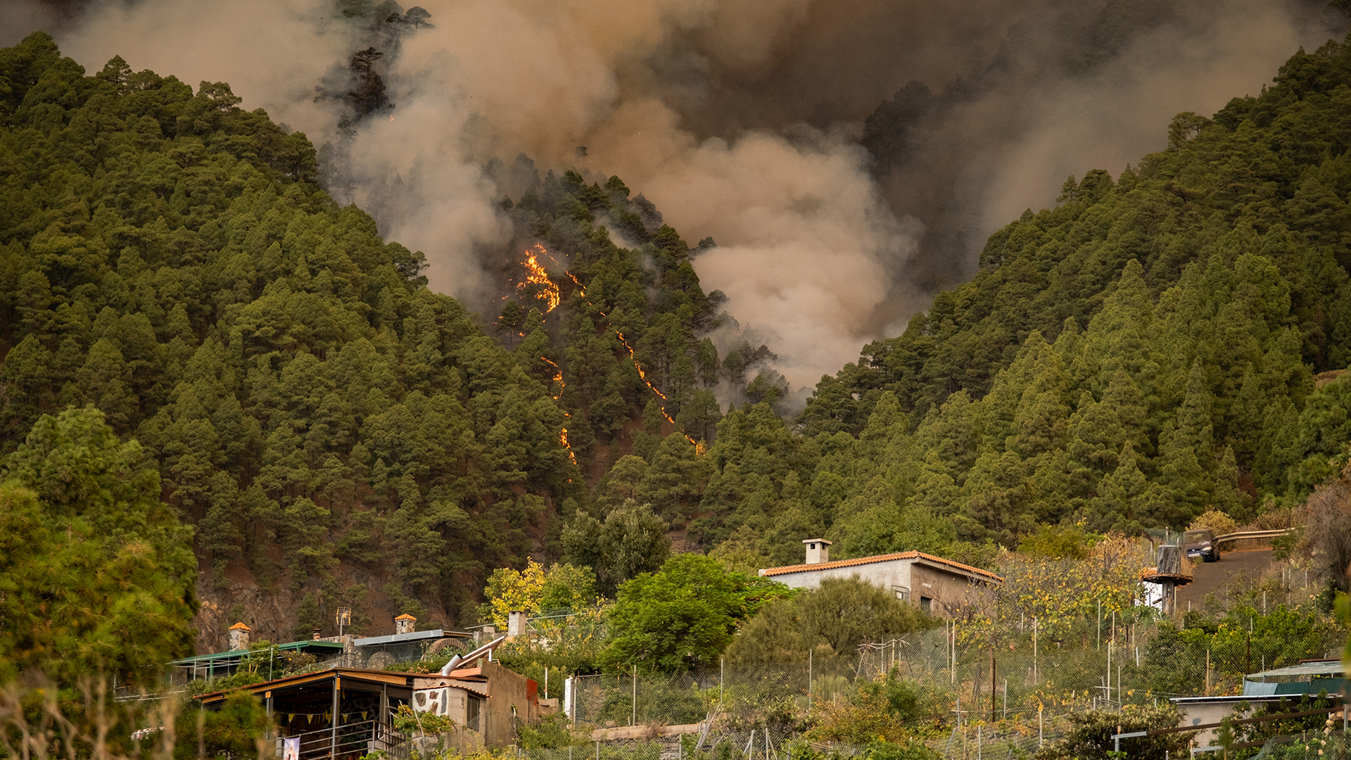الحرائق تلتهم غابات تينيريفي الإسبانية وفرار الآلاف