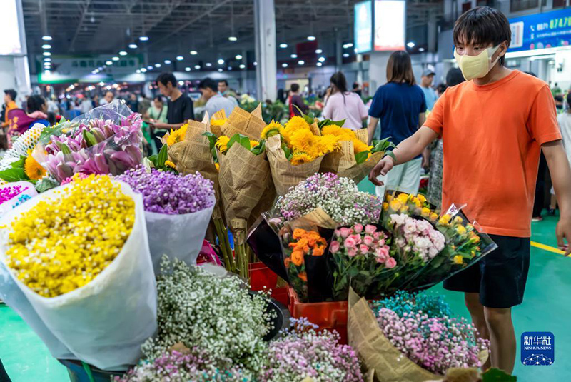 كونمينغ .. زهور الصين المتفتحة طوال العام