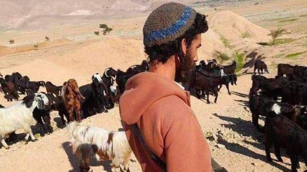 مستوطنون يجبرون أحد رعاة الأغنام على ترك المراعي في الأغوار