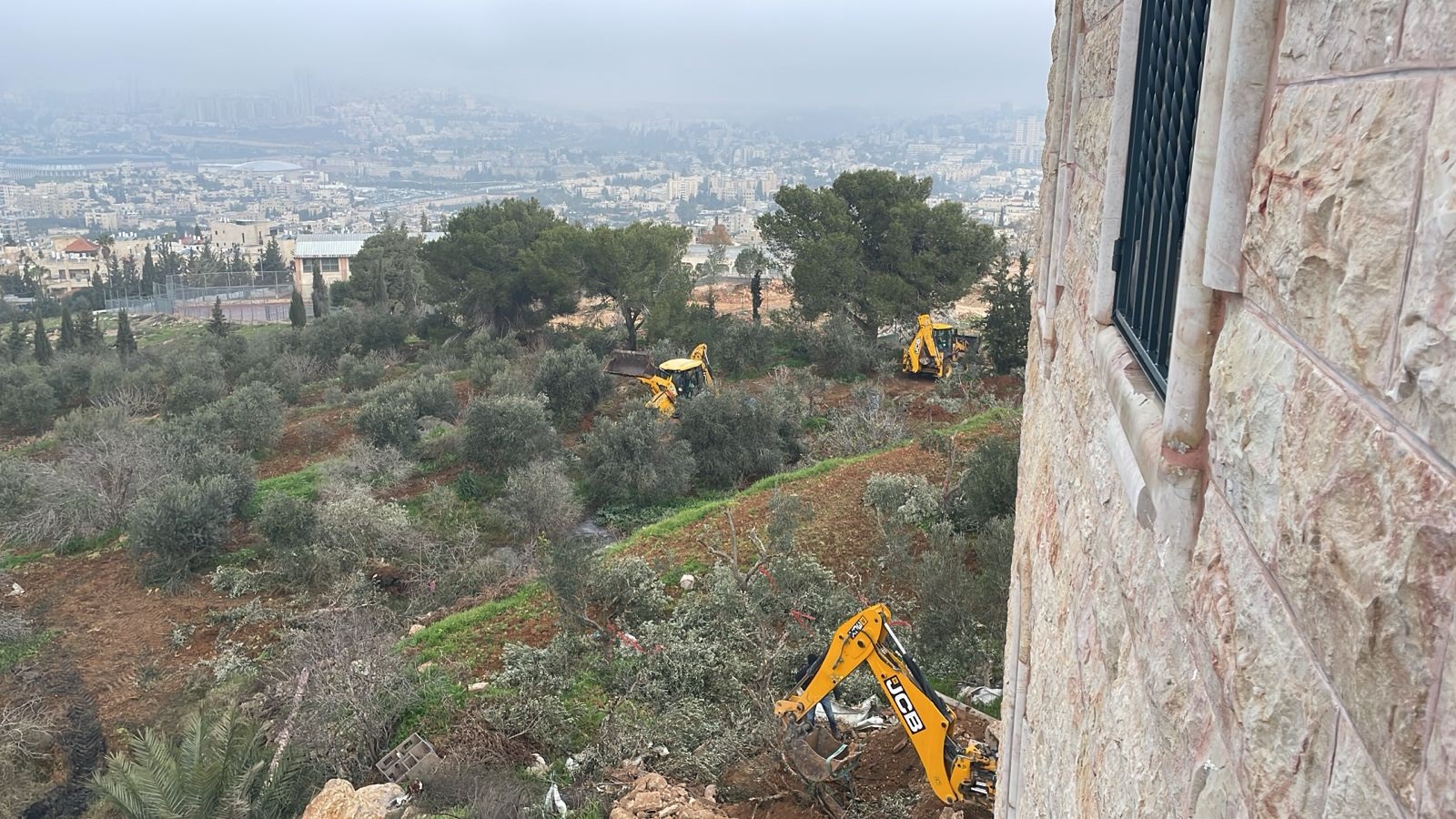 الاحتلال يجرف أراضي ويقتلع أشجارا ويعتقل مواطنين في بيت صفافا جنوب القدس