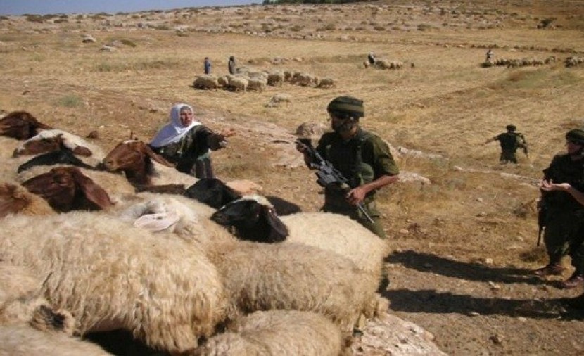 قوات الاحتلال تعتقل 7 من رعاة الأغنام في مسافر يطا جنوب الخليل
