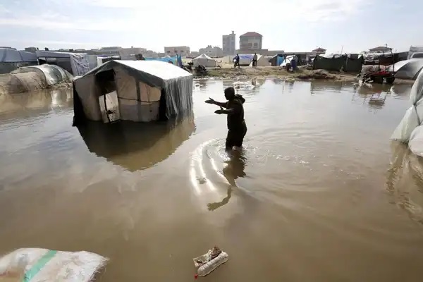 سلطة جودة البيئة: العدوان على غزة يدمر مكونات التنوع البيولوجي في القطاع