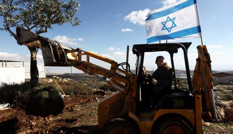 الاحتلال يجرف 15 دونما ويقتلع 150 شجرة زيتون في حوسان غرب بيت لحم