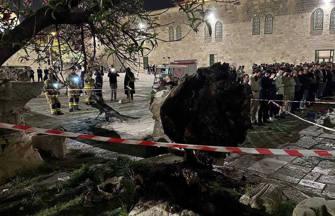 إصابة شاب بجروح جراء سقوط شجرة في باحات المسجد الأقصى