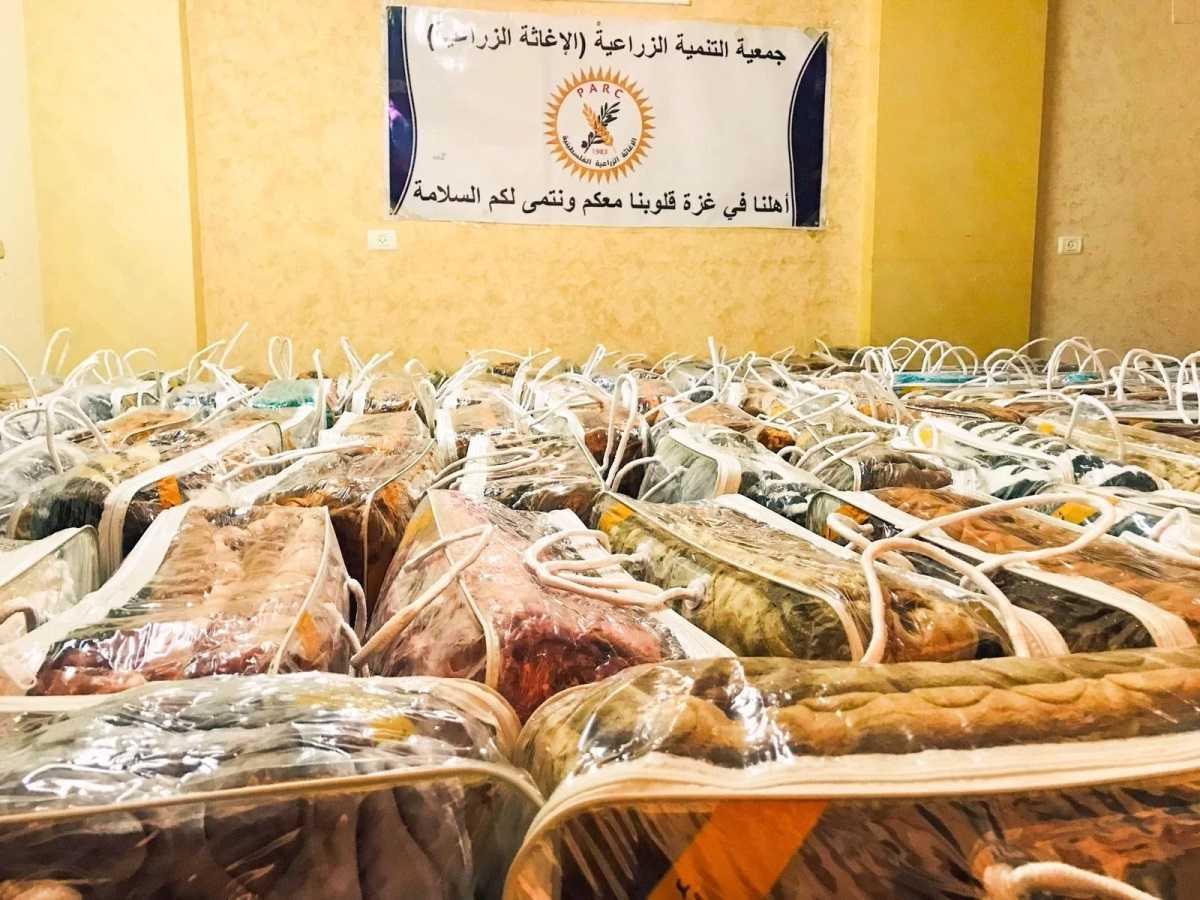 الإغاثة الزراعية تقدم 500 حرام وملابس شتوية للأسر النازحة في محافظة رفح جنوب قطاع غزة