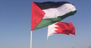 البحرين تؤكد دعمها الجهود الهادفة إلى الوقف الفوري لإطلاق النار في قطاع غزة