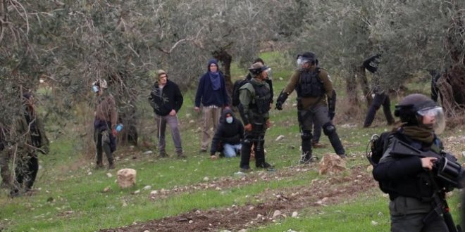 الخليل : الاحتلال يعتقل 3 من رعاة الأغنام بعد تعرضهم لاعتداء مستوطنين