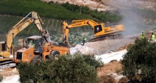 مستوطنون يجرفون أراضي المواطنين في بيت أمر شمال الخليل