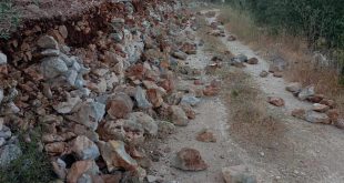 مستوطنون يعتدون على ممتلكات المواطنين ويغلقون طريقا زراعيا في قرية ياسوف شرق سلفيت