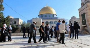 عشرات المستوطنون يقتحمون باحات المسجد الأقصى