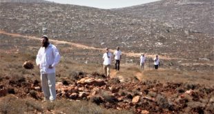 مستوطنون يعتدون على أراضي المواطنين في قراوة بني حسان غرب سلفيت
