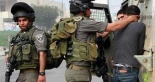 الاحتلال يعتقل 3 شبان من قرية أم دار غرب جنين