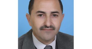 سرمد فوزي التايه