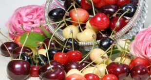 فوائد الكرز