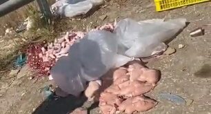 الاحتلال يتلف كميات من اللحوم والدواجن في كفر الديك