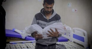 مجازر مستمرة .. 100 شهيد خلال 24 ساعة في قطاع غزة