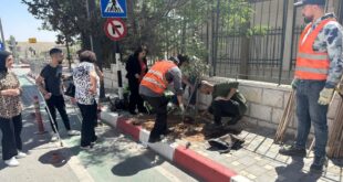 بلدية بيت ساحور تستقبل وفدًا من جمعية الشابات المسيحية لتنفيذ مبادرة "تشجير الشارع النموذجي"