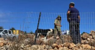 مستوطنون يسيجون مزيداً من الأراضي في الأغوار الشمالية