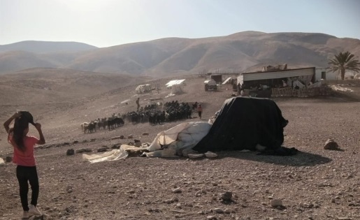 مستوطنون يعتدون على شلال العوجا شمال أريحا