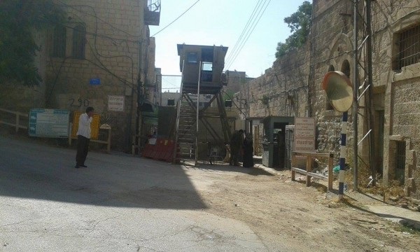 مستوطنون يعتدون على المواطنين في تل رميدة وسط مدينة الخليل
