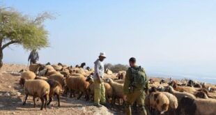 مستوطنون يهاجمون رعاة أغنام بطائرات مسيرة في قرية المنيا شرق بيت لحم