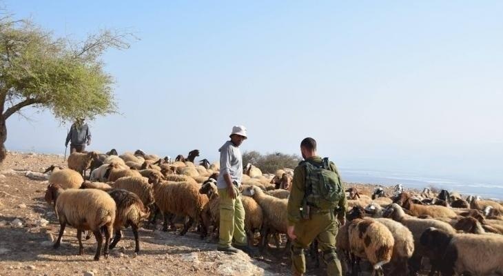 مستوطنون يهاجمون رعاة أغنام بطائرات مسيرة في قرية المنيا شرق بيت لحم