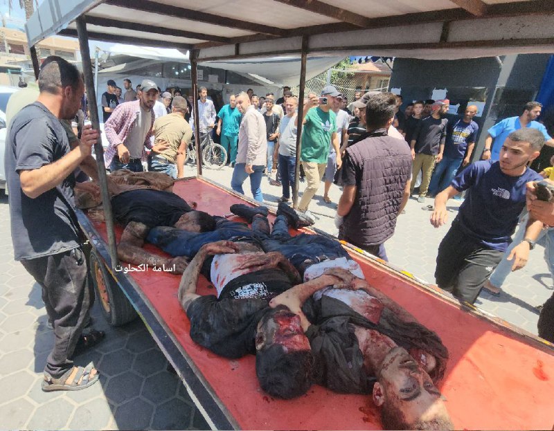 ارتفاع حصيلة ضحايا حرب الإبادة على قطاع غزة إلى 56.259 شهيدا