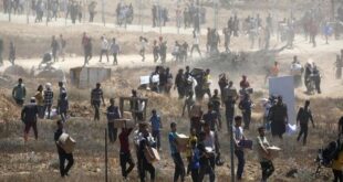 10 شهداء في قصف الاحتلال مستودعا لتوزيع المساعدات بحي الزيتون جنوب مدينة غزة