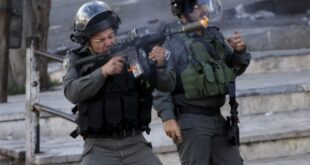 إصابة مواطن بالرصاص المطاطي في سنجل شمال رام الله