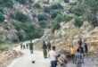 الاحتلال يقتحم المناطق الأثرية في قراوة بني حسان غرب سلفيت