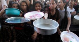 "الصحة العالمية": 112 طفلا يدخلون مستشفيات غزة يوميا بسبب سوء التغذية