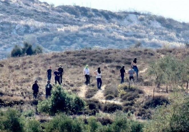 مستوطنون يخربون شبكة ري في أرض زراعية غرب سلفيت