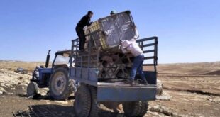 اعتداءات المستوطنين تجبر 6 عائلات على الرحيل من خربة سمرة بالأغوار