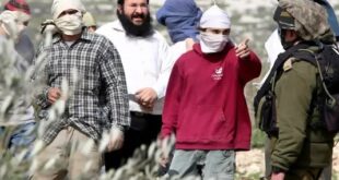مستوطنون يهاجمون قرية دير جرير شرق رام الله