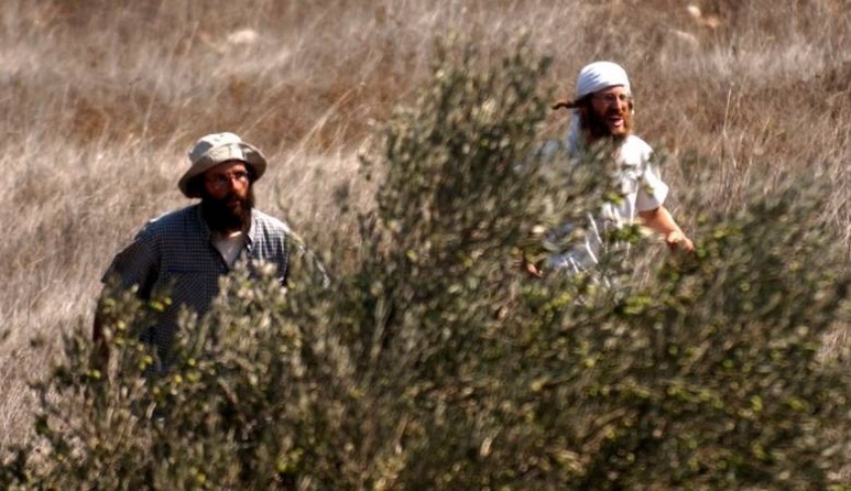 مستوطنون يقتلعون عدد كبير من أشجار الزيتون شرق قلقيلية