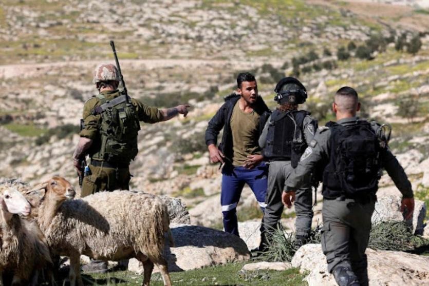 مستوطنون يعتدون على مواطن وزوجته ويسرقون أغنامهم في خربة الطويل جنوب نابلس