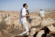مستوطنون يطلقون أغنامهم بين المنازل قرب اريحا