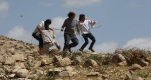 مستوطنون يهاجمون منازل المواطنين في سوسيا جنوب الخليل