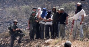 مستوطنون يهاجمون المواطنين في خربة الفارسية بالأغوار الشمالية