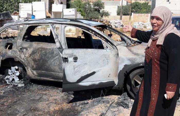 الجدار والاستيطان : 11280 اعتداءً نفذها الاحتلال ومستوطنيه في النصف الأول من 2025