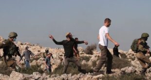 مستوطنون يحاولون سرقة أغنام في مسافر يطا جنوب الخليل