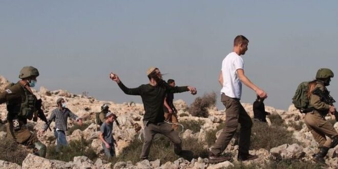 مستوطنون يحاولون سرقة أغنام في مسافر يطا جنوب الخليل