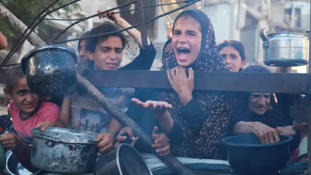 الأمم المتحدة: واحد من كل ثلاثة فلسطينيين في غزة لم يأكل منذ أيام