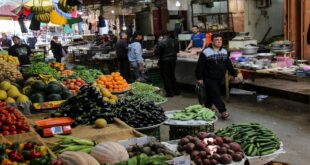 الإحصاء: ارتفاع مؤشر أسعار الجملة بنسبة 11.78% خلال الربع الثاني من العام الجاري