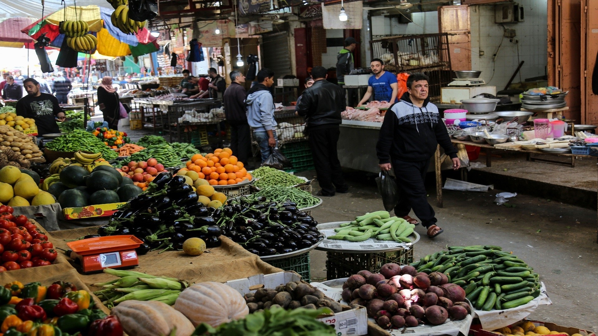 الإحصاء: ارتفاع مؤشر أسعار الجملة بنسبة 11.78% خلال الربع الثاني من العام الجاري