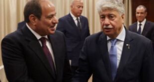 ثمن الدور المصري ، د. مجدلاني : يدين حملة الدعاية المغرضة ضد مصر